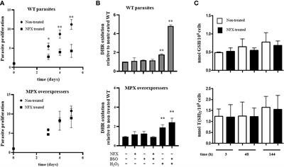 Trypanosoma cruzi Mitochondrial Peroxiredoxin Promotes Infectivity in Macrophages and Attenuates Nifurtimox Toxicity